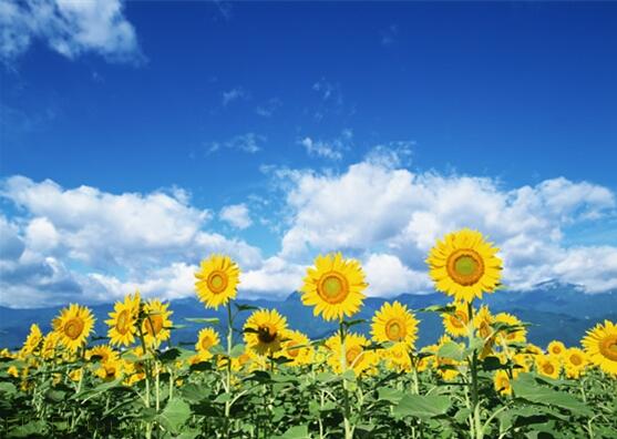 用責任點燃青春，以擔當成就事業