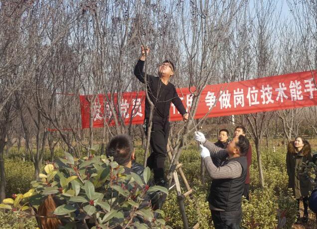 發揮黨員先鋒模范作用  上好園林技能必修課