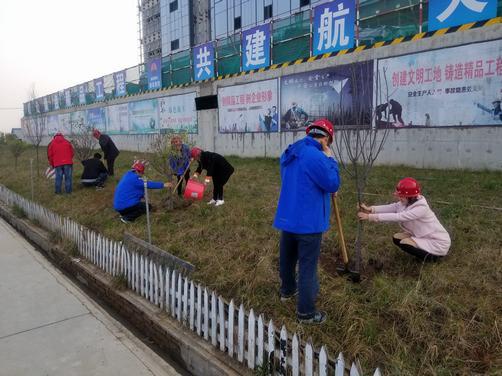 揮灑汗水建設(shè)一方熱土 傾心盡力打造綠色澄合