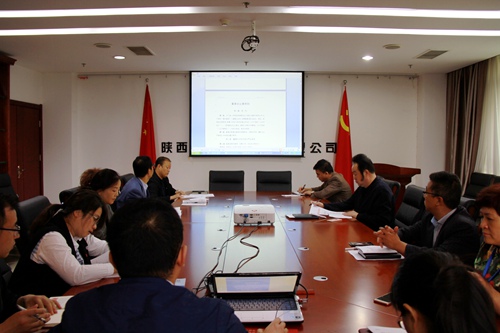 大秦置業公司黨委：嚴肅黨委會議事規則在行動