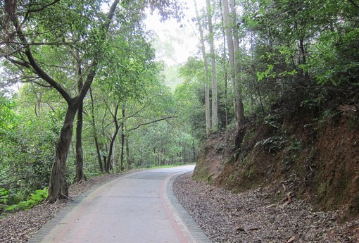 成功之路沒有捷徑