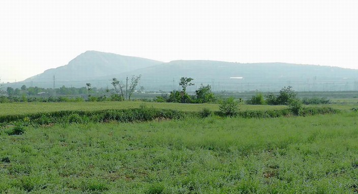 用自己的方式去愛