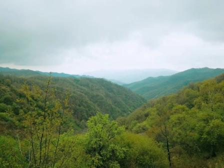 一個人的旅行----神道嶺寄語