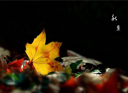 枯葉，新生