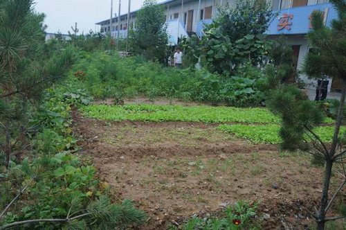 陜煤建設(shè)掘進(jìn)公司：北翼項(xiàng)目部“綠色農(nóng)場(chǎng)”開(kāi)張啦