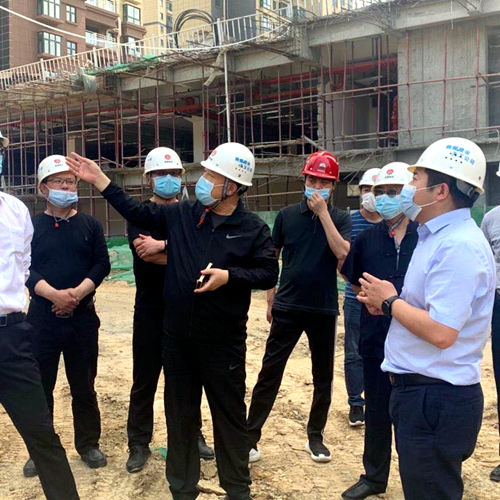 王寧深入大秦置業公司龍灣水境項目檢查指導項目開發建設工作