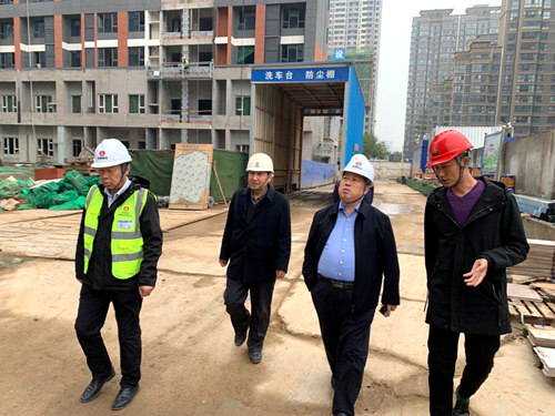 王寧深入藍山水岸項目檢查指導工作