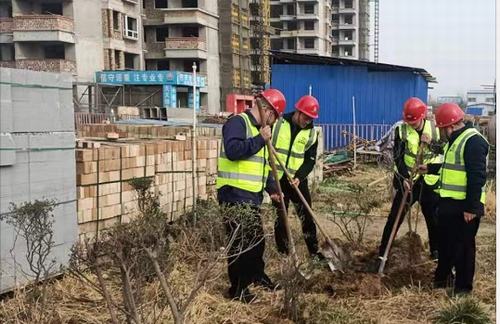 陜煤建設(shè)咸陽(yáng)分公司第五項(xiàng)目部植樹活動(dòng)如火如荼進(jìn)行中