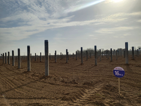 陜煤建設機電安裝公司：凝心聚力攻堅光伏項目