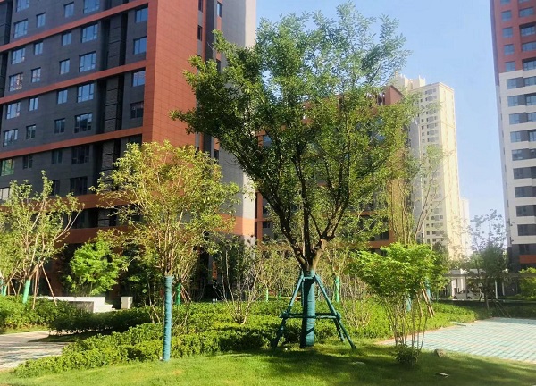 陜煤建設(shè)綠宇公司：藍山水岸項目收尾顯擔(dān)當(dāng)  大干快干展新顏