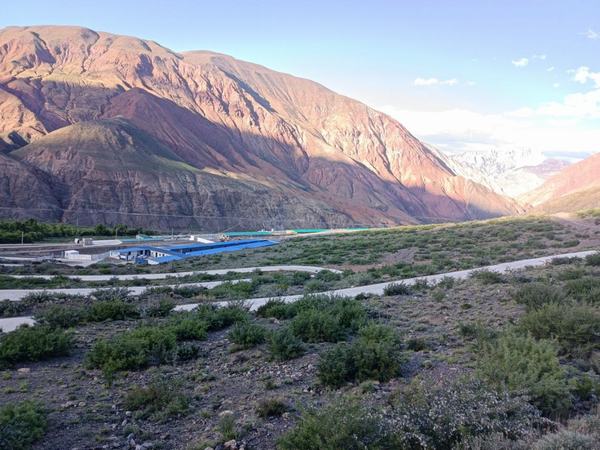 陜煤建設設計研究院赴西藏做好仿生態藏香豬養殖項目現場跟蹤服務