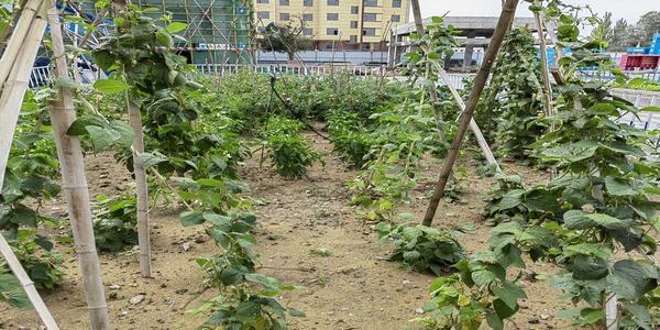 陜煤建設內蒙古分公司第二項目部：一分耕耘“三分”收獲