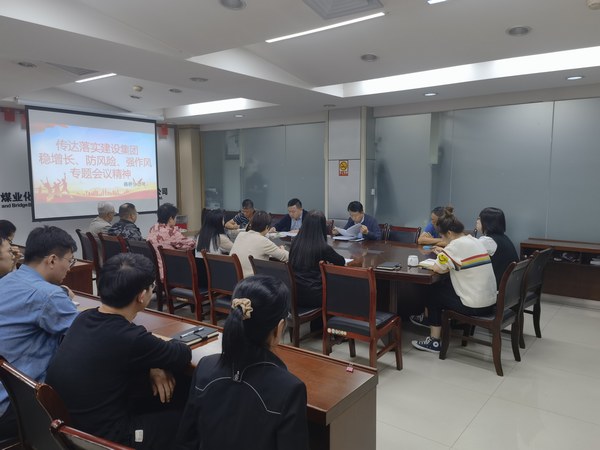 陜煤建設(shè)各單位傳達(dá)落實建設(shè)集團(tuán)穩(wěn)增長、防風(fēng)險、強(qiáng)作風(fēng)工作部署會議精神
