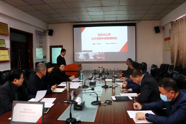 賽場選馬 競擇優(yōu)才