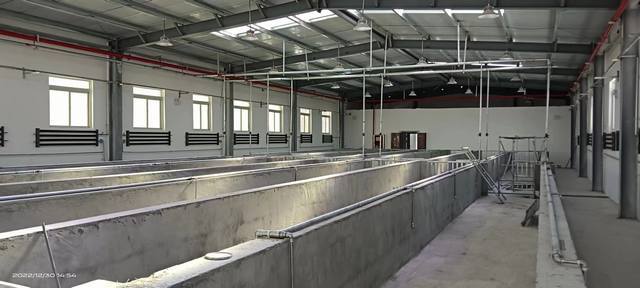 陜煤建設韓城分公司：年終歲末，西藏喜訊接踵而至！