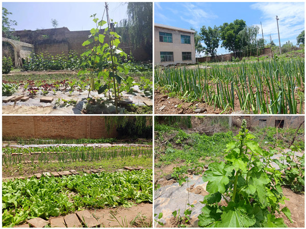 陜煤建設礦建三公司：項目部里的“開心農場”