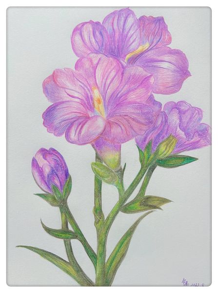 花繪夢語 自然彩繪