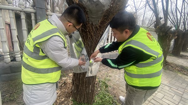 陜煤建設路橋分公司渭南項目部開展“綠色修復，生態共贏”別樣植樹節活動