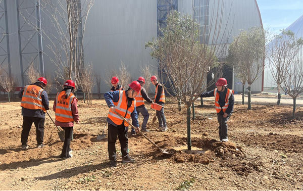 與春天相約,共建綠色家園