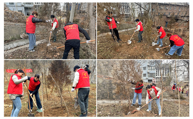 陜煤建設(shè)機(jī)電安裝公司:走,上春山,植樹去!