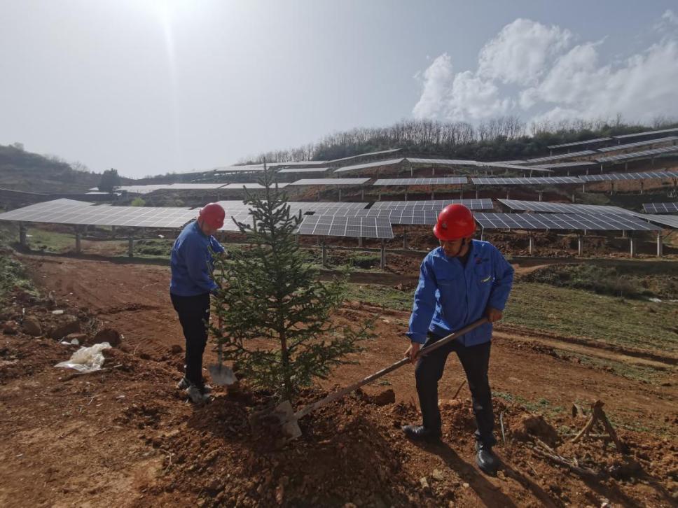 陜煤建設(shè)西北分公司機電安裝項目部： 全員參與，共筑綠色屏障