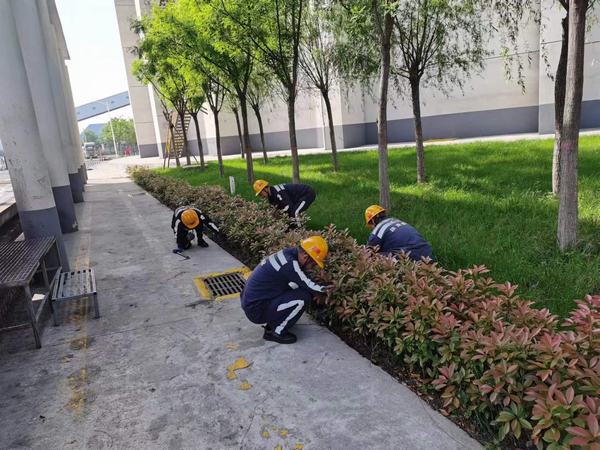 陜煤建設(shè)洗選煤運營公司神渭蒲城運營項目部：逐”綠”而行 向”綠”而興！廠區(qū)綠化在行動
