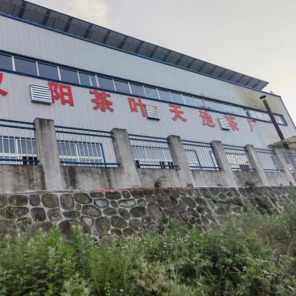 實事一件接著一件，跑出鄉(xiāng)村振興“加速度”