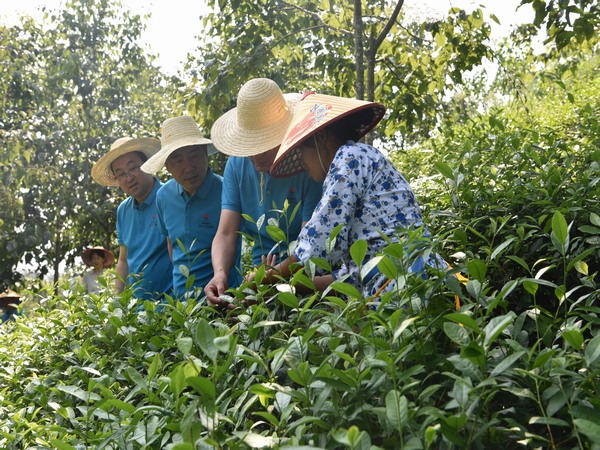 陜煤建設煤礦運營服務分公司：全方位提升職工幸福指數