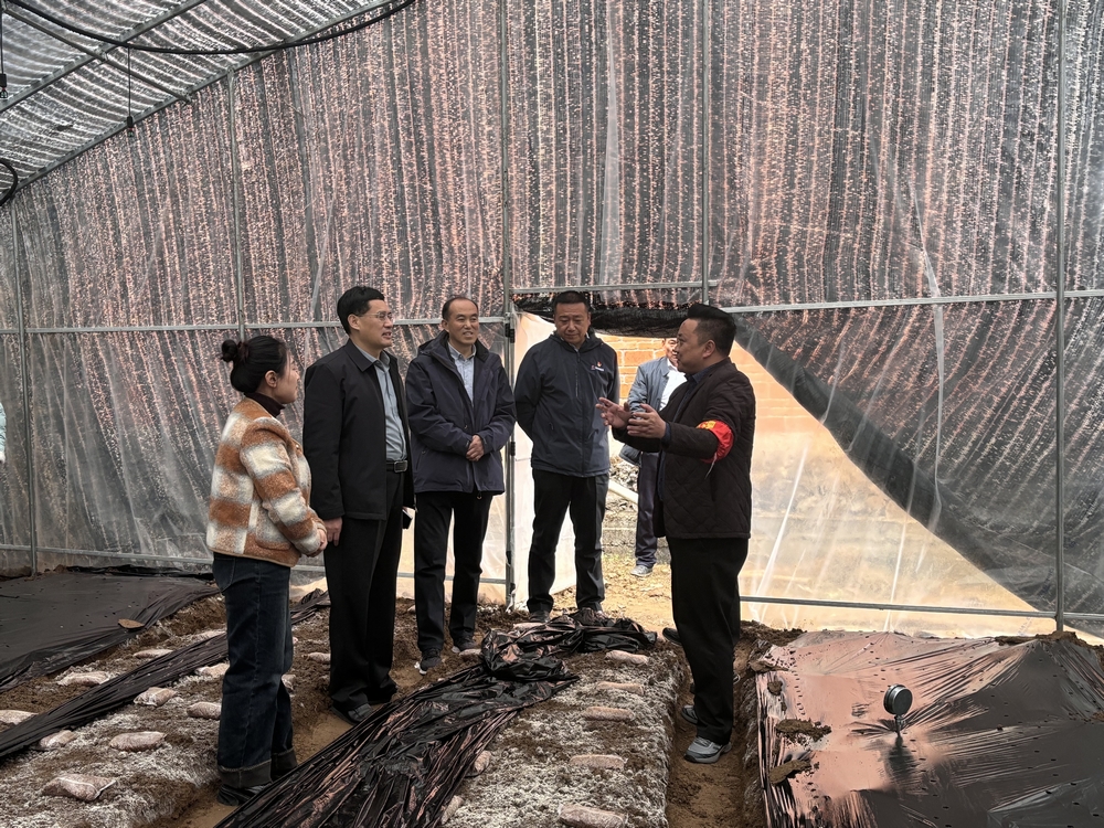 司正林深入定點幫扶村和漢陰實驗中學項目調研指導工作