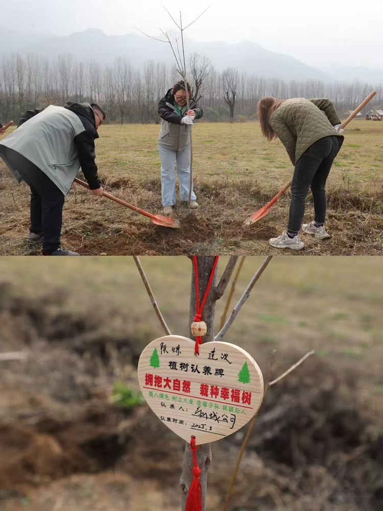 陜煤建設(shè)新城公司：“植”此青綠 共“樹”未來
