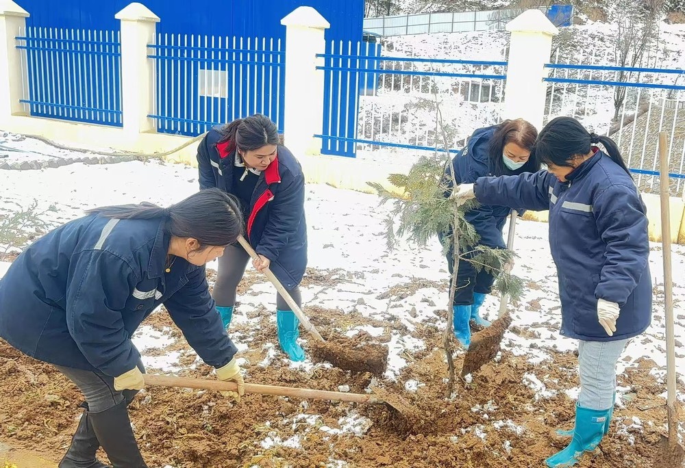 陜煤建設(shè)礦建三公司：巾幗添綠綻芳華，共筑生態(tài)新環(huán)境