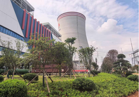 陜煤建設西北分公司：綠意盎然入電廠，生態(tài)建設譜新章