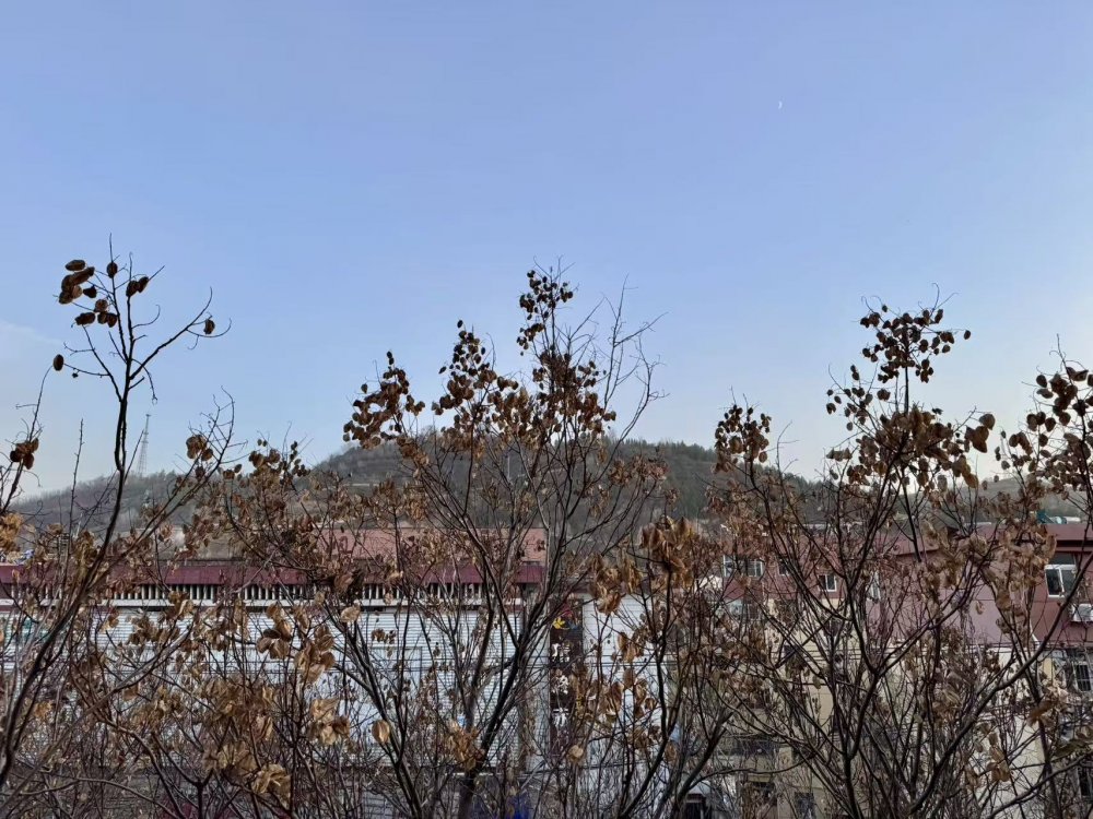 秋意漸濃時，回望來時路