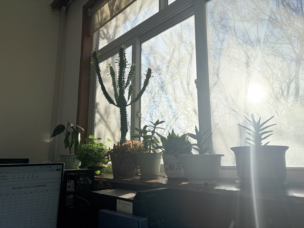 冬陽正好，步履鏗鏘