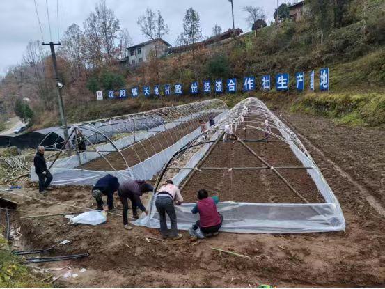 陜煤建設定點幫扶村:以“五化”實踐助力鄉(xiāng)村全面振興