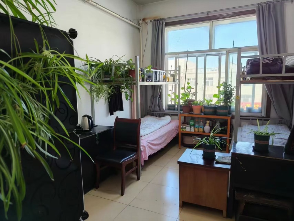 陜煤建設洗選煤運營公司檸條塔運營項目部黨支部:黨建領航強根基 廉潔鑄魂促發展